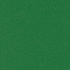 ROMA Färg: mörkgrön (VP0908)
